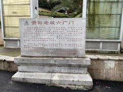 -六广门毛阿姨糯米饭