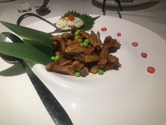 -梧桐