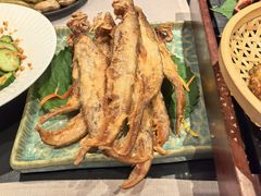 -鸢飞潍坊菜馆(鸢飞大酒店)