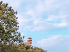 -深圳仙湖植物园