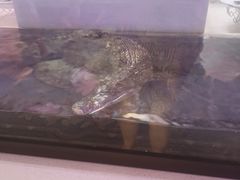 -海韵之星邮轮水会(明发商业广场店)