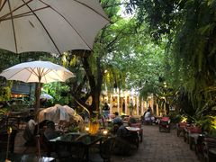 -Fern Forest Cafe