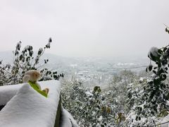 -九曜山