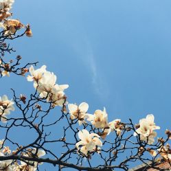 -上海瑞金洲际酒店·宴会厅