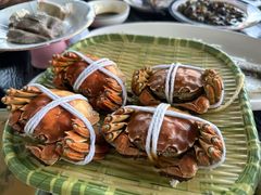 -蟹天蟹地农家菜·阳澄湖大闸蟹(浅水湾店)