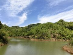 -沐川竹海旅游景区
