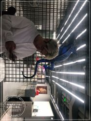 -斑斓色彩沙龙