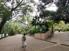 -九龙公园