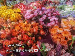 -宝鸡东道花鸟鱼虫市场(吉利花园商场店)
