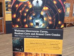 -怀托摩萤火虫洞