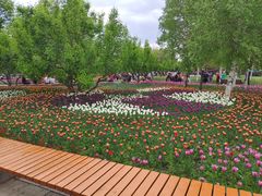 -长春公园(普阳街道)