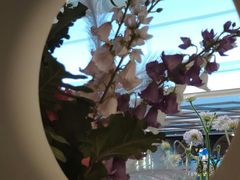 -晶雅花园西餐厅(南京首店)
