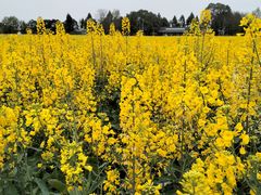 -中国天府农业博览园