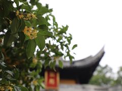 -龙华寺
