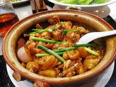 -丰食农家乐