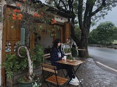 -村上春树