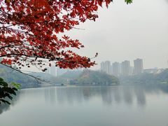 -重庆彩云湖湿地公园