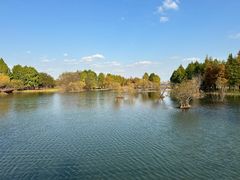 -贡湖湾湿地公园