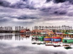 -上海长兴岛郊野公园