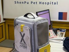 -申普宠物医院·心脏介入·心血管微创(总院)