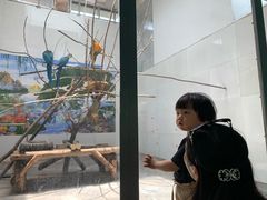 -西安秦岭野生动物园