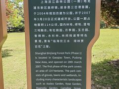 -上海滨江森林公园