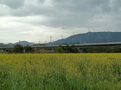 -光明小镇欢乐田园