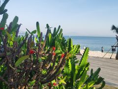 -大梅沙海滨公园