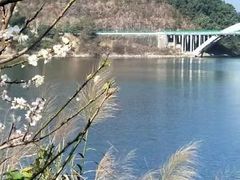 -广州市流溪河国家森林公园