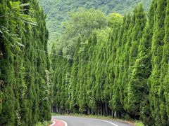 -青龙山生态文化旅游区