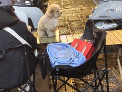 -大理.老字号渝记酸萝卜乌鱼(古城总店)