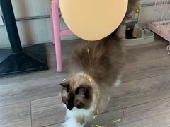 -灯塔咖啡馆BOOK·Coffee Shop