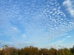 -天津东丽湖风景区