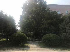 -全国人大会议中心