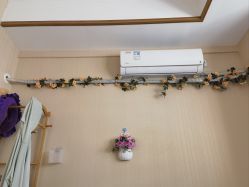 -Dr.林醫生产后修复·配方产康(南京江宁万达店)