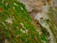 -秦岭终南山世界地质公园翠华山景区
