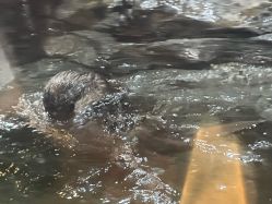 -Zoolung Zoolung动物主题公园(海信广场店)