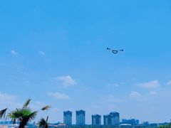 -九龙湖公园
