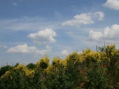 -梁家河村红色旅游区