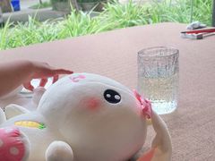 -樽宴酒楼·地道川菜·品质宴请