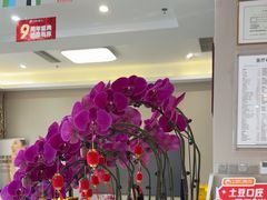 -土豆口腔(凤凰北总店)