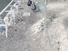 -春晖园度假酒店温泉