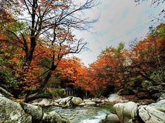 -光雾山旅游景区