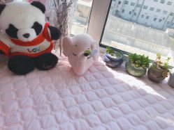 -爱美睫美甲会馆