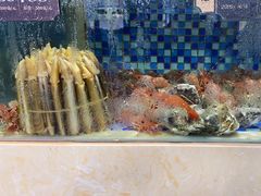 -欧记·龙城港(欣都店)