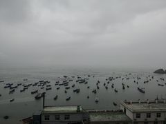 -枸杞岛