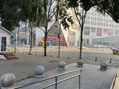 -奥体中心(地铁站)