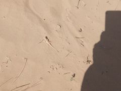 -恩格贝生态旅游区