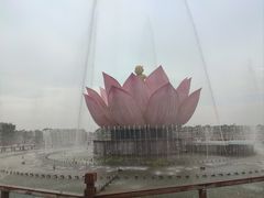 -白洋淀景区