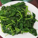 鹅鹅鹅